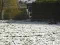 Afbeelding 096